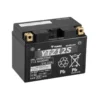 Batteria Sigillata Precaricata Yuasa YTZ12S