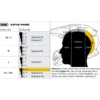 Cuffia Shoei Type-M Center Pad XL13 Per Caschi VFX-WR / VFX-WR 06