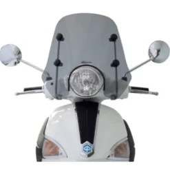 Parabrezza Fabbri 2138/LD Fumé