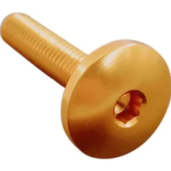 Vite Testa Bombata Erg. Cl 003 M8 L. 15 Testa D22 Ergal (7075 T6) Oro 003M8015ORO Lightech