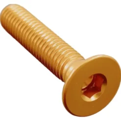 Vite Testa Piana Svas. Erg. Cl 005 M6 L. 20 Oro 005M6020ORO Lightech